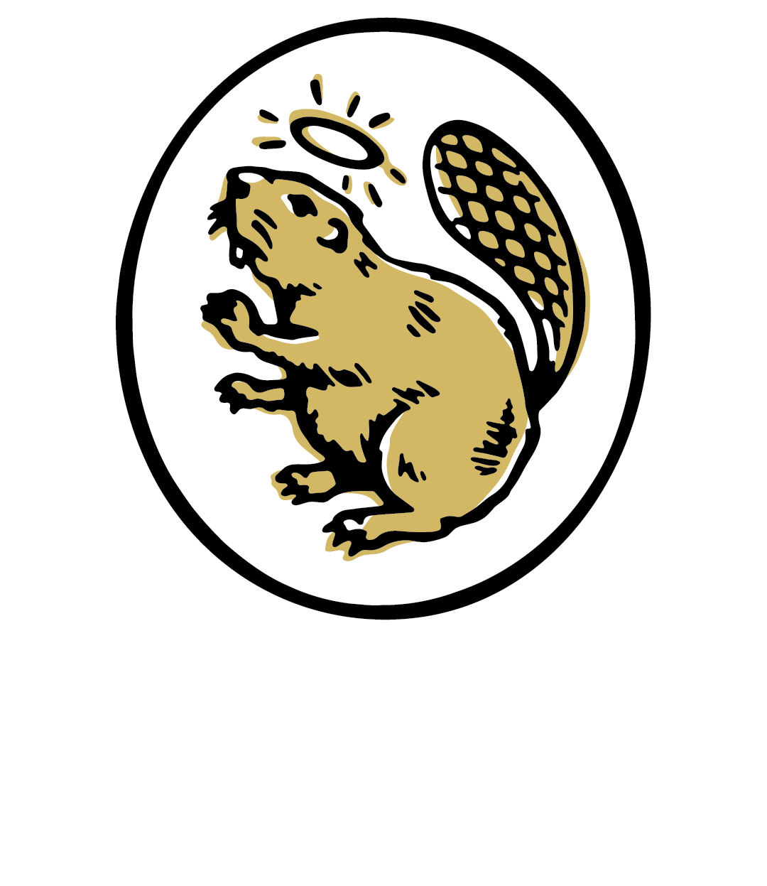 Put That Beaver to Work Beaver Water